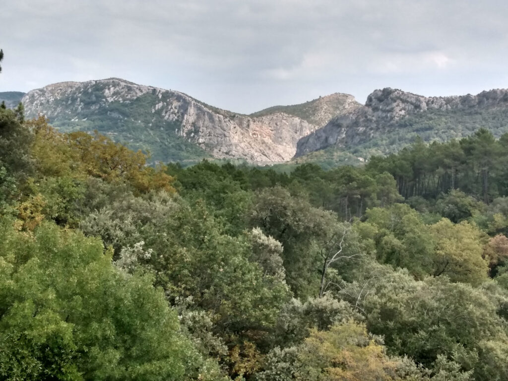 Authentique mas en pierre avec vue sur le massif Cévenol – 13 pièces – 3 chambres – 600 m²
