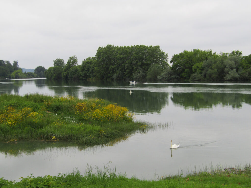 ENSEMBLE IMMOBILIER DE CARACTERE – 12 pièces – 7 chambres – 400 m²