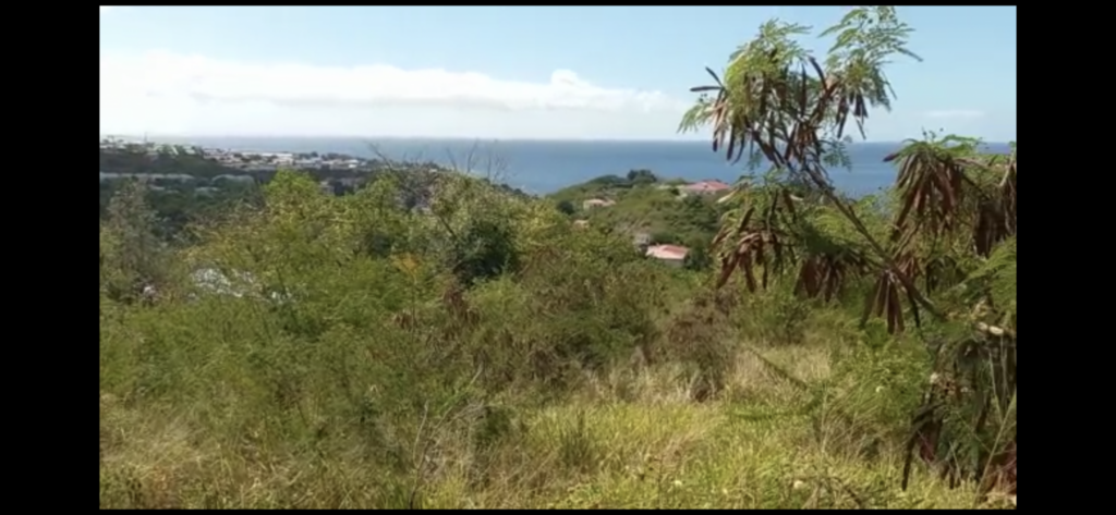 Terrain à bâtir 10160 m2 BAILLIF – 10160 m²