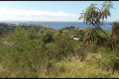 Terrain à bâtir 10160 m2 BAILLIF – NR pièces – NR chambres – 10160 m²