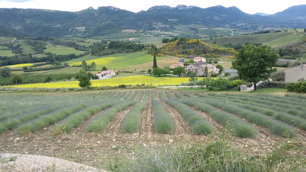 Proche Sainte Jalle 26110  .Terrain constructible de  7380 m – 7380 m²