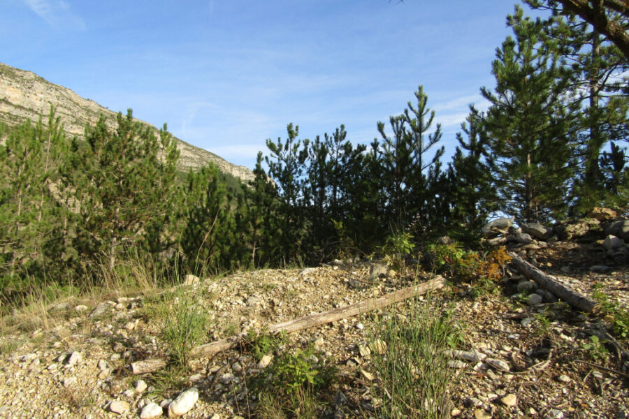 Terrain à vendre à Rémuzat