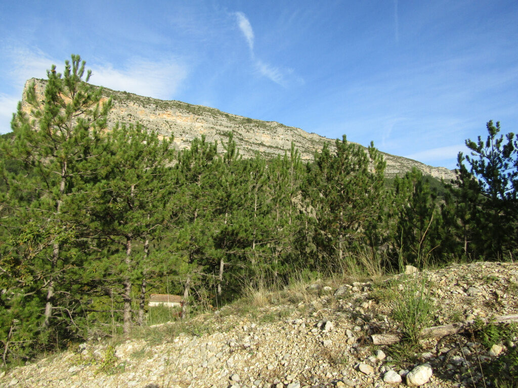 Rémuzat (26) terrain 1737 m2 constructible, vue magnifique  – 1737 m²