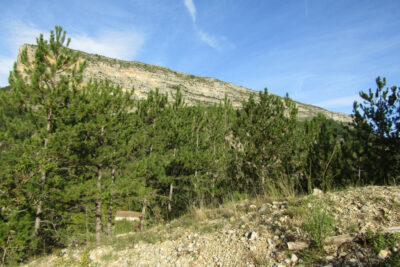Rémuzat (26) terrain 1737 m2 constructible, vue magnifique  – NR pièces – NR chambres – 1737 m²