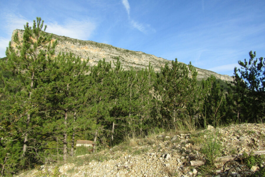 Terrain à vendre à Rémuzat