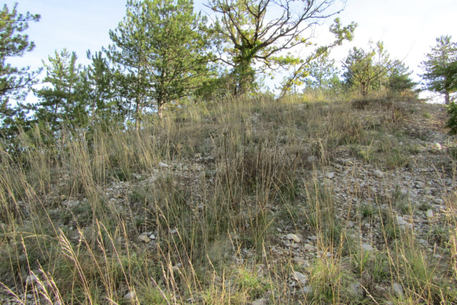 Terrain à vendre à Rémuzat
