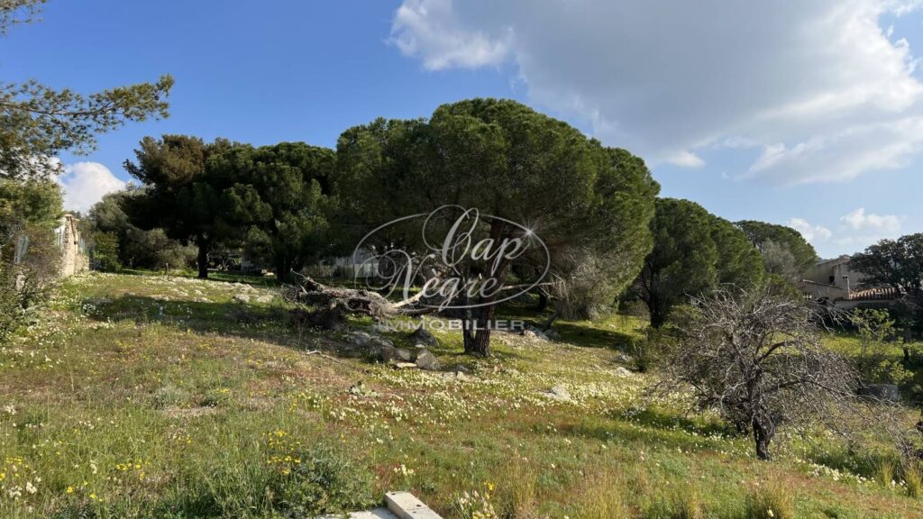 BORMES LES MIMOSAS – EXCLUSIVITÉ – TERRAIN CONSTRUCTIBLE VUE MER – 948 m²