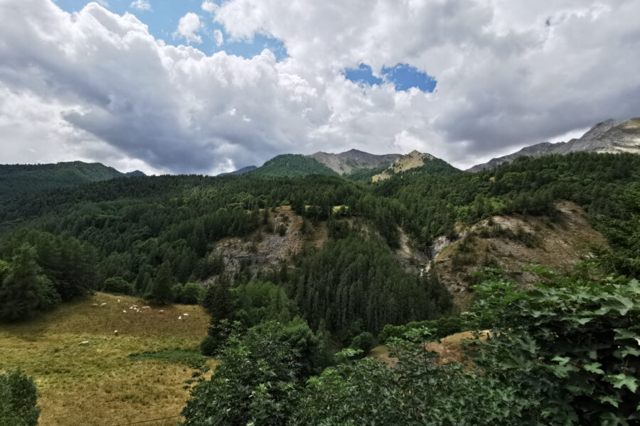 Maison à vendre à La foux d allos
