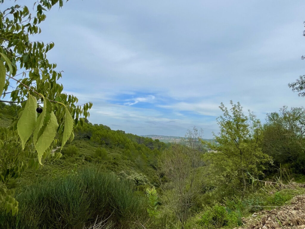 Vente d’un terrain à bâtir de 1030m2 avec vue dégagée – 1030 m²