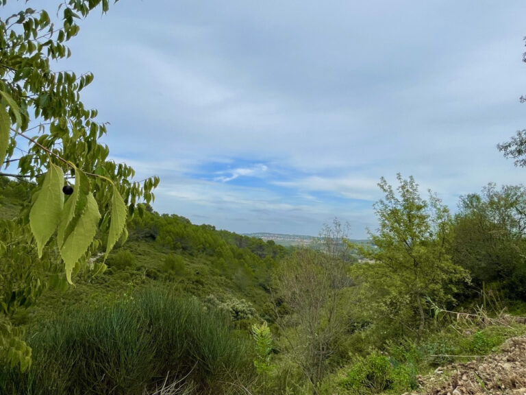 Vente d’un terrain à bâtir de 1030m2 avec vue dégagée – NR pièces – NR chambres – 1030 m²