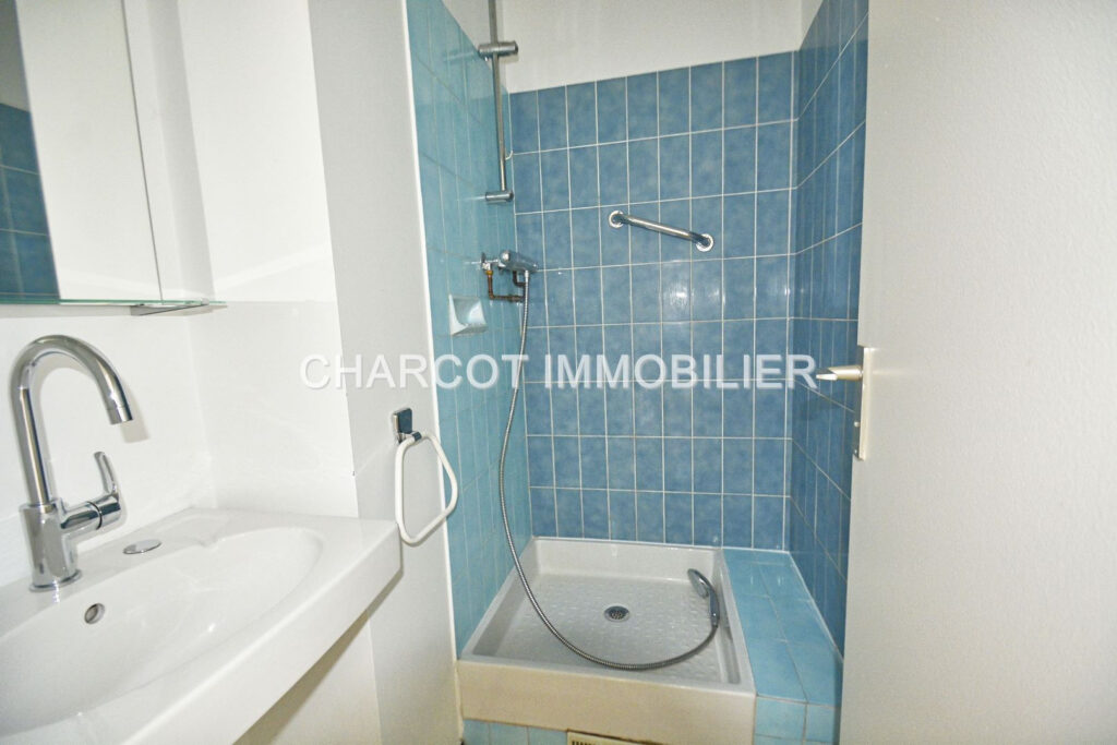 LYON 3ème –  Vaste APPARTEMENT de type T5 + CAVE + GARAGE EN – 5 pièces – 3 chambres – 116 m²