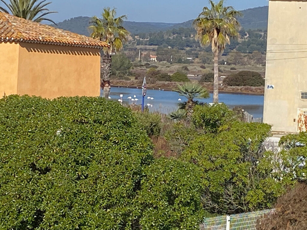 Hyères : appartement T1 + coin nuit en mezzanine avec terras – 1 pièce – NR chambres – 26.37 m²