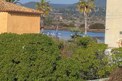 Hyères : appartement T1 + coin nuit en mezzanine avec terras – 1 pièce – NR chambres – 26.37 m²