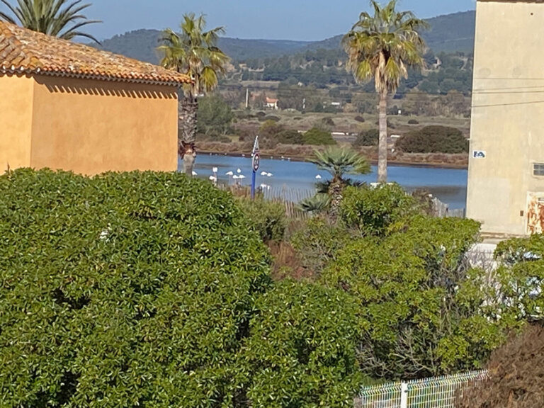 Hyères : appartement T1 + coin nuit en mezzanine avec terras – 1 pièce – NR chambres – 26.37 m²