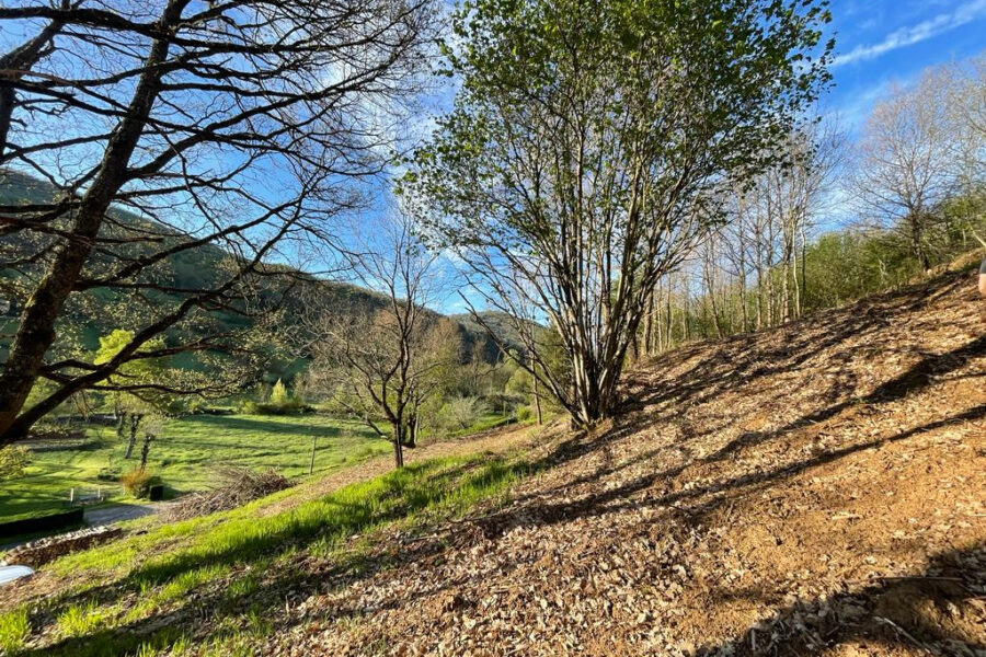 Terrain à vendre à Saint-Beauzély
