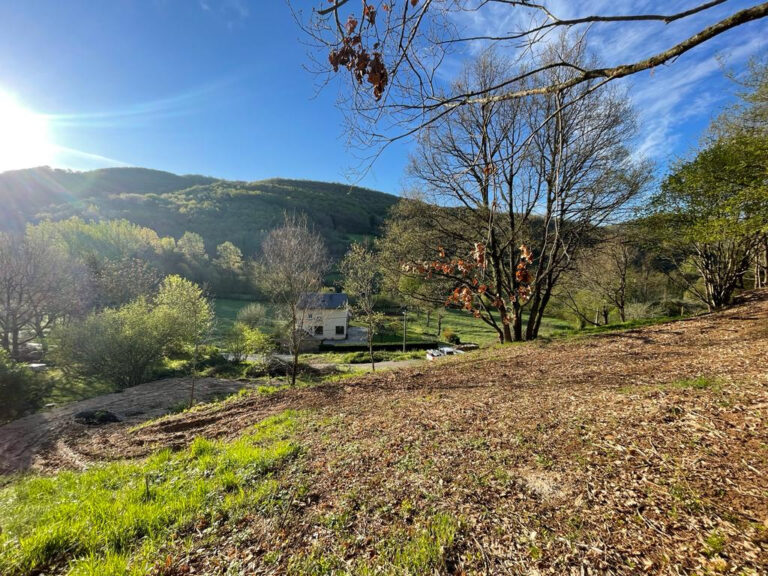 SAINT BEAUZELY // Terrains à batir 10804m2  – NR pièces – NR chambres – 10804 m²