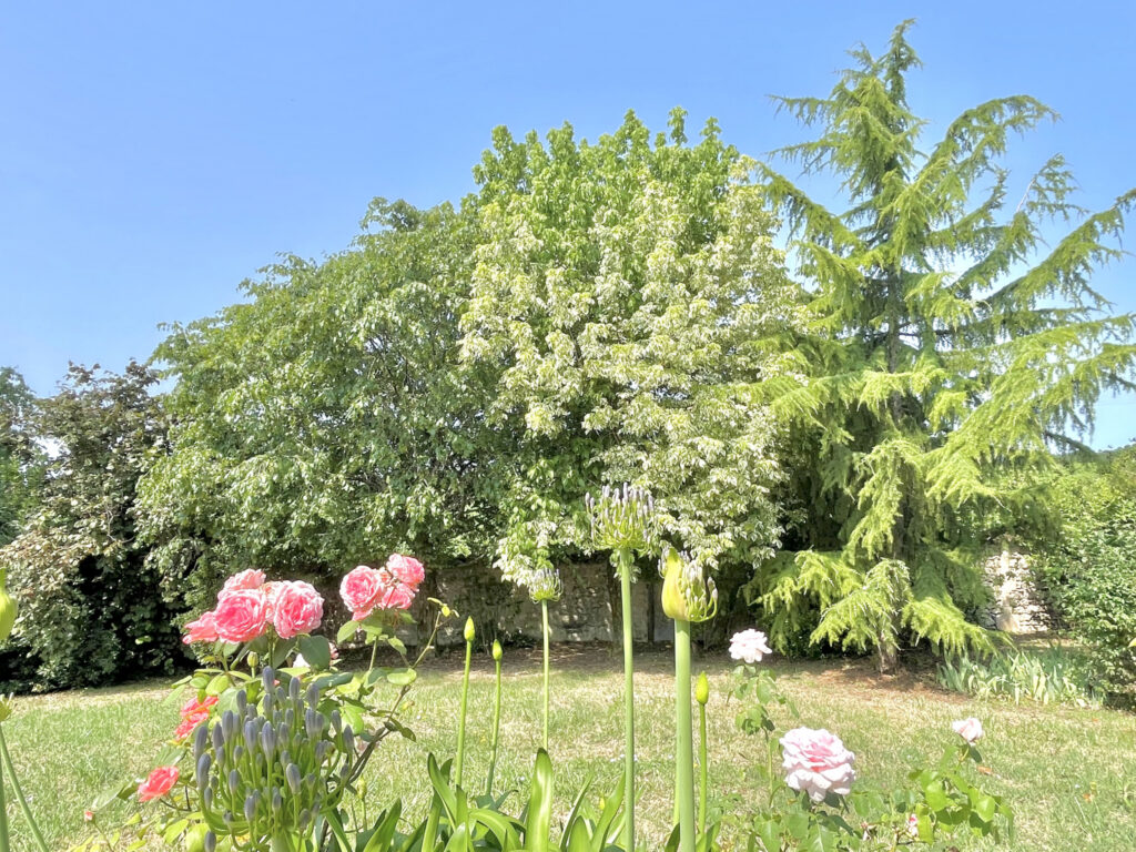 Agréable PAVILLON avec belle vue sur la campagne – 5 pièces – 4 chambres – 154 m²