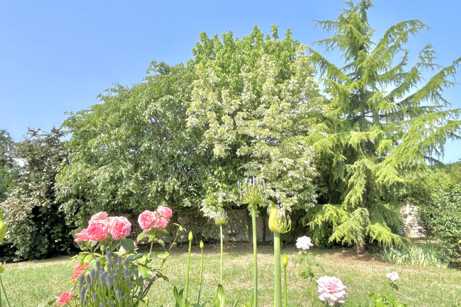 Maison à vendre à Cognac