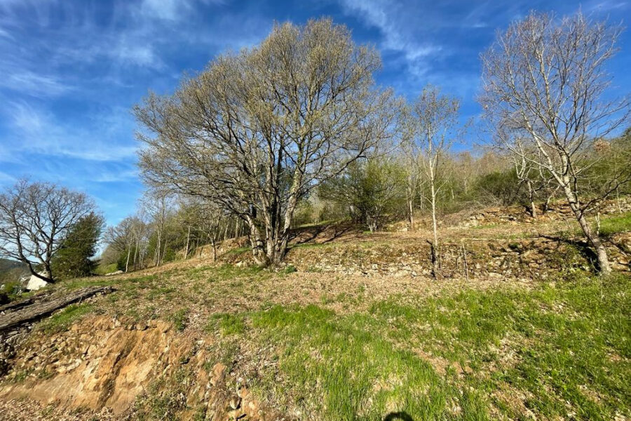 Terrain à vendre à Saint-Beauzély