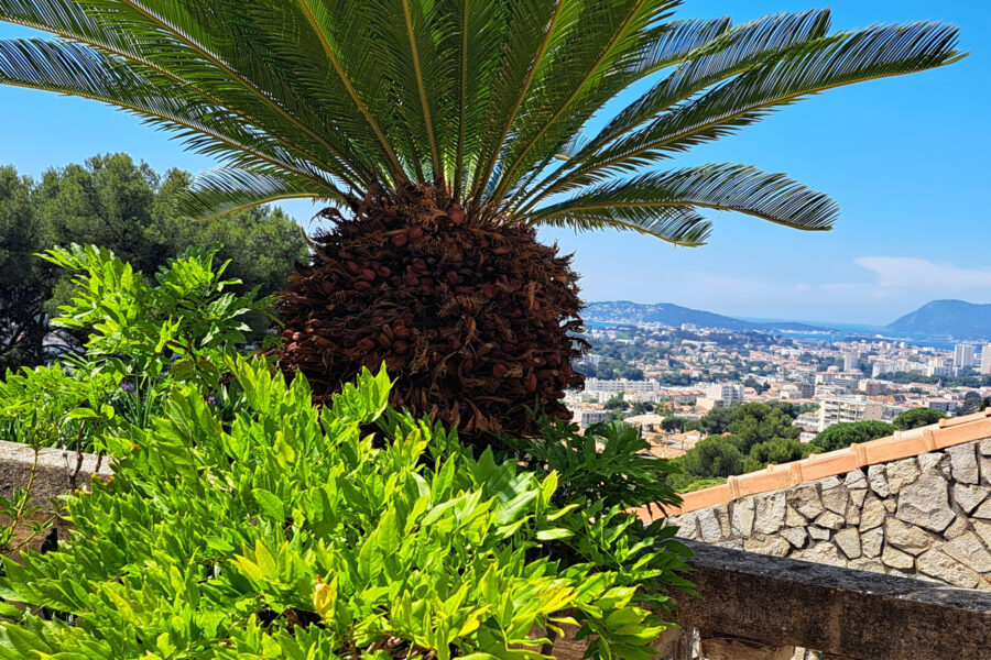 Appartement à vendre à Toulon