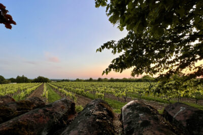Agréable PAVILLON avec belle vue sur la campagne – 5 pièces – 4 chambres – 154 m²