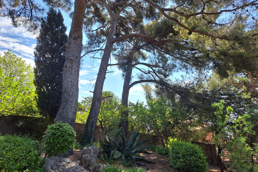 Appartement à vendre à Toulon