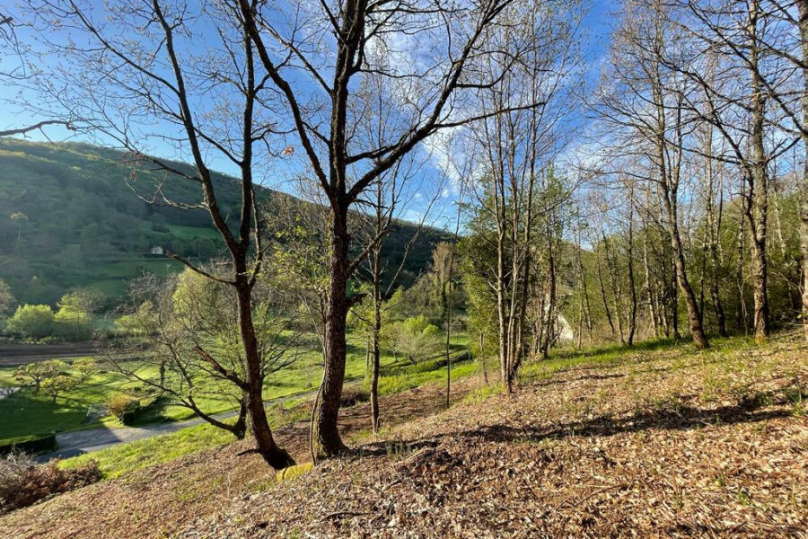 Terrain à vendre à Saint-Beauzély