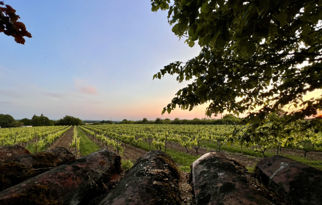 Agréable PAVILLON avec belle vue sur la campagne – 5 pièces – 4 chambres – 154 m²