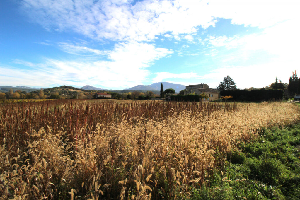 Ancienne ferme sur terrain d’1 hectare – 7 pièces – 4 chambres – 129 m²