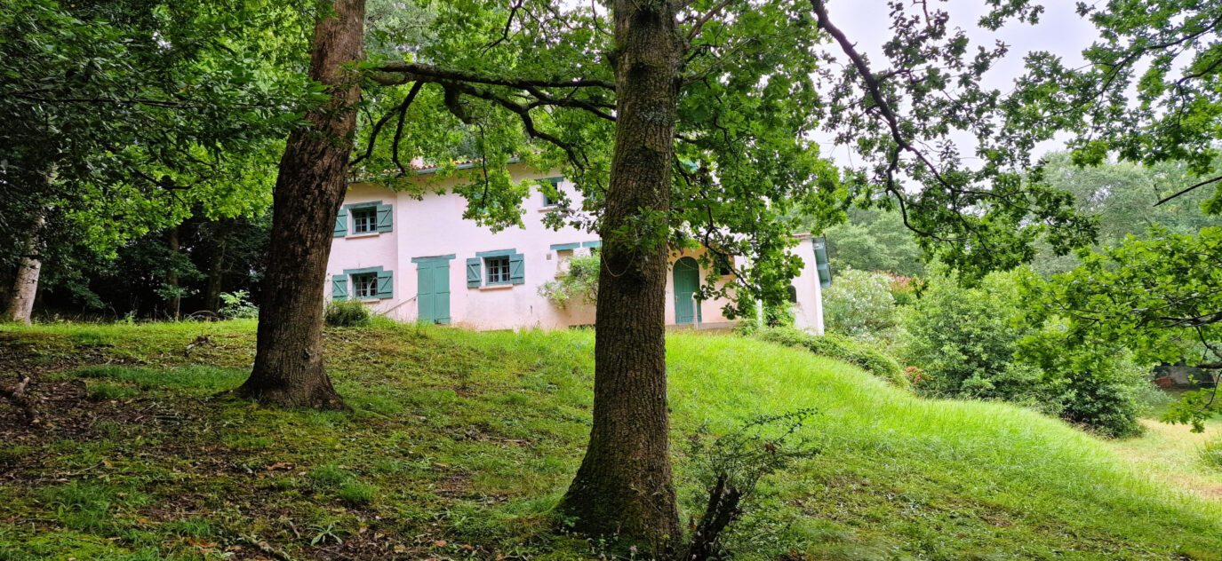 Propriété au coeur de la campagne Basque – 10 pièces – 4 chambres – 200 m²