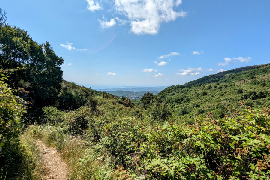 Terrain à vendre à Vence