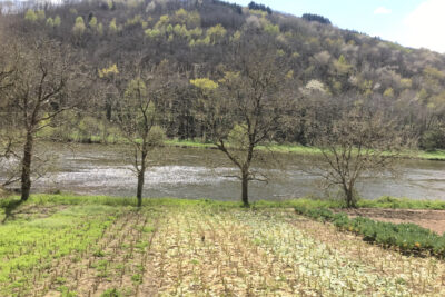Jolie maison avec vue sur le Lot 12320 Conques-en-Rouergues – NR pièces – NR chambres