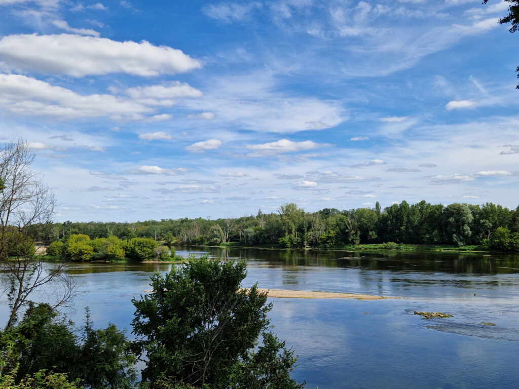 SUPERBES TERRAINS CONSTRUCTIBLES BORD DE LOIRE – 3323 m²