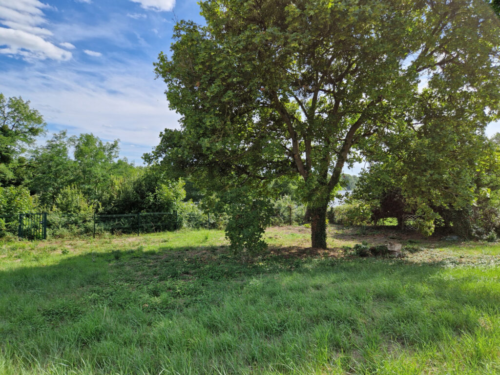 SUPERBES TERRAINS CONSTRUCTIBLES BORD DE LOIRE – 3323 m²