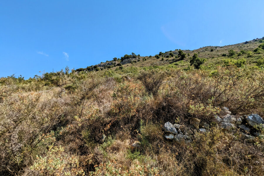 Terrain à vendre à Vence