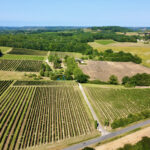 Superbe propriété viticole en plein coeur du Sud du Périgord  – 4 pièces – 3 chambres – 95 m²