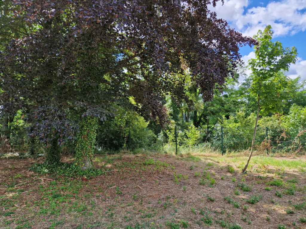 EXCEPTIONNEL TERRAIN CONSTRUCTIBLE BORD DE LOIRE – 6551 m²