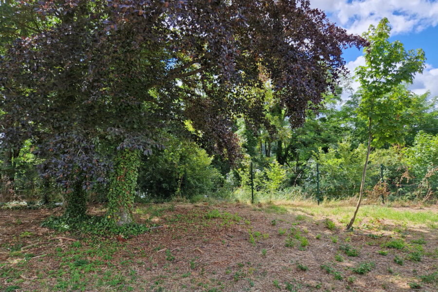 Terrain à vendre à Saint-Ay