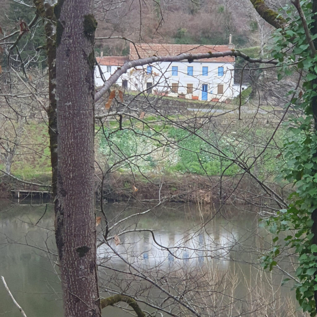 Jolie maison avec vue sur le Lot 12320 Conques-en-Rouergues – NR pièces – NR chambres
