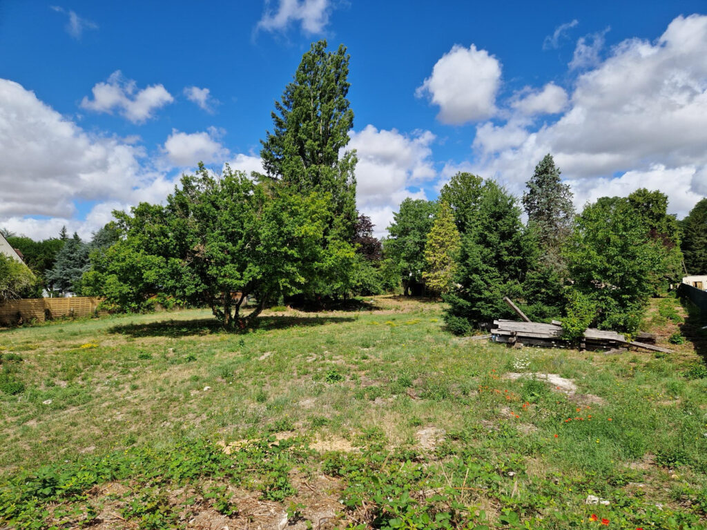 EXCEPTIONNEL TERRAIN CONSTRUCTIBLE BORD DE LOIRE – 6551 m²