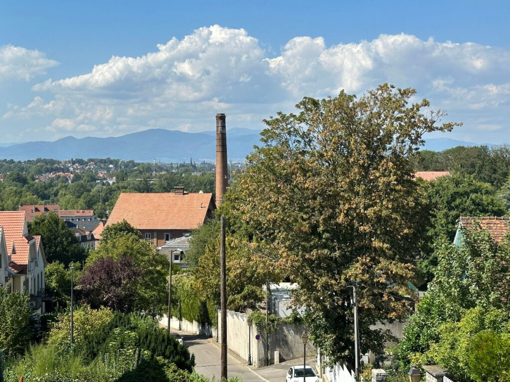 DUPLEX de STANDING dans une MAISON BOURGEOISE – QUARTIER REB – 7 pièces – 4 chambres – 151 m²