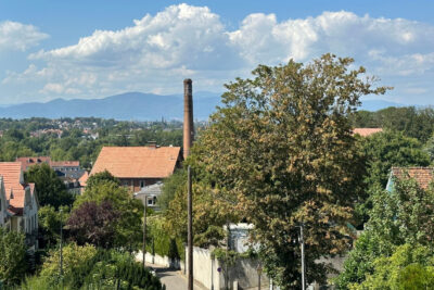 DUPLEX de STANDING dans une MAISON BOURGEOISE – QUARTIER REB – 7 pièces – 4 chambres – 151 m²