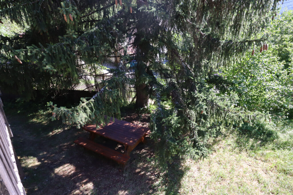 Chalet en bois au milieu des arbres – 5 pièces – 4 chambres – 75 m²