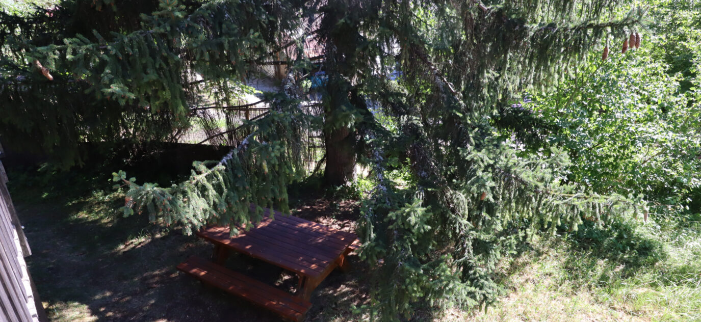 Chalet en bois au milieu des arbres – 5 pièces – 4 chambres – 75 m²