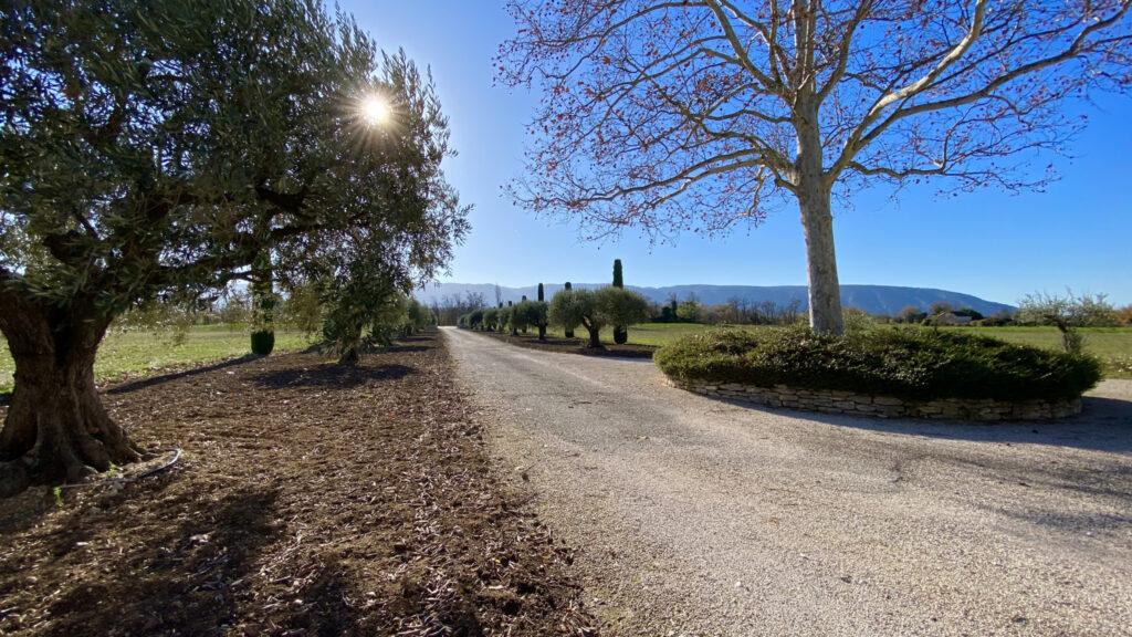 DREAM’ – PROPRIETE DE 1700 DE 305M2 HABITABLES AVEC PISCINE  – 8 pièces – 5 chambres – 304 m²