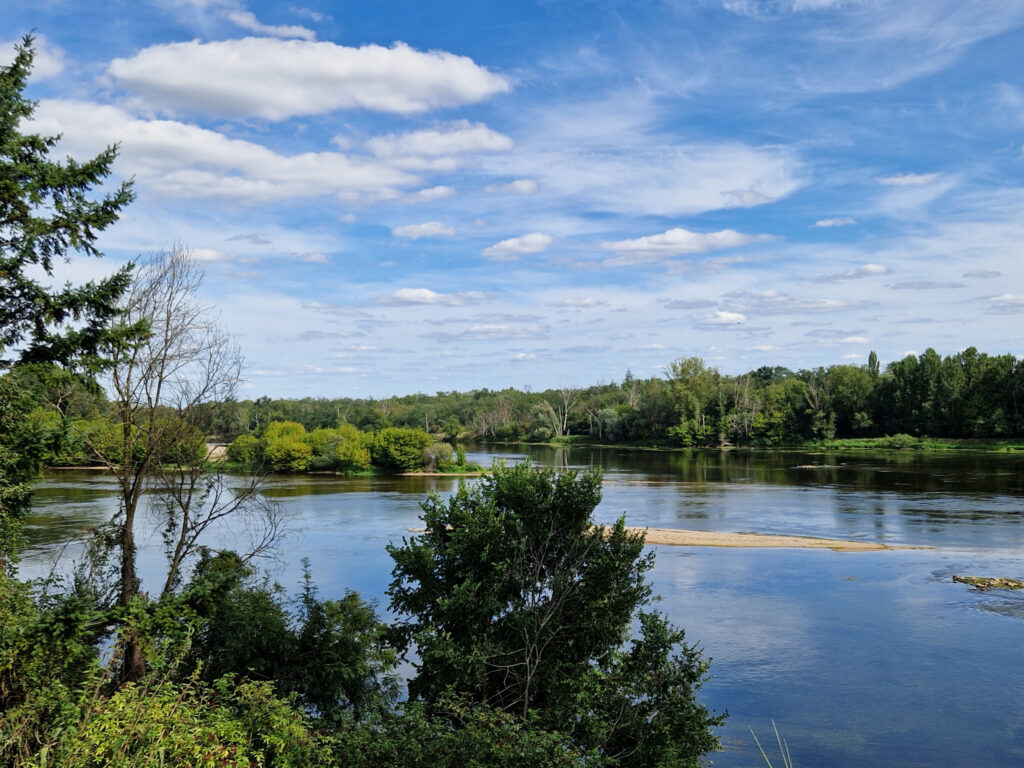 EXCEPTIONNEL TERRAIN CONSTRUCTIBLE BORD DE LOIRE – 6551 m²