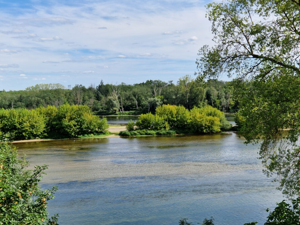 SUPERBES TERRAINS CONSTRUCTIBLES BORD DE LOIRE – 3323 m²