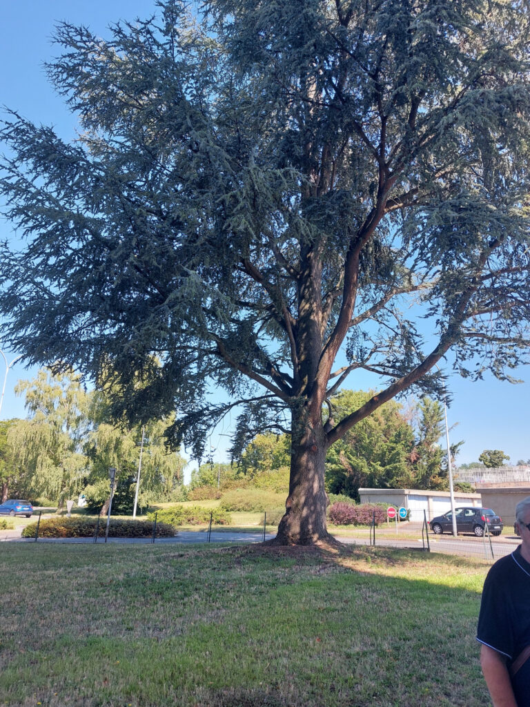 Appartement de 70 m2 au 9ème étage d’une belle résidence à V – 3 pièces – 2 chambres – 70 m²