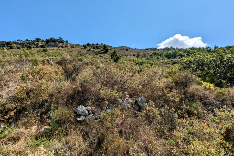 Terrain à vendre à Vence