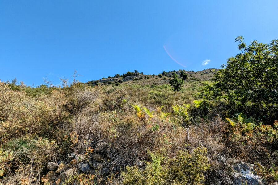 Terrain à vendre à Vence